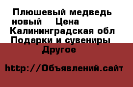 Плюшевый медведь (новый) › Цена ­ 15 000 - Калининградская обл. Подарки и сувениры » Другое   